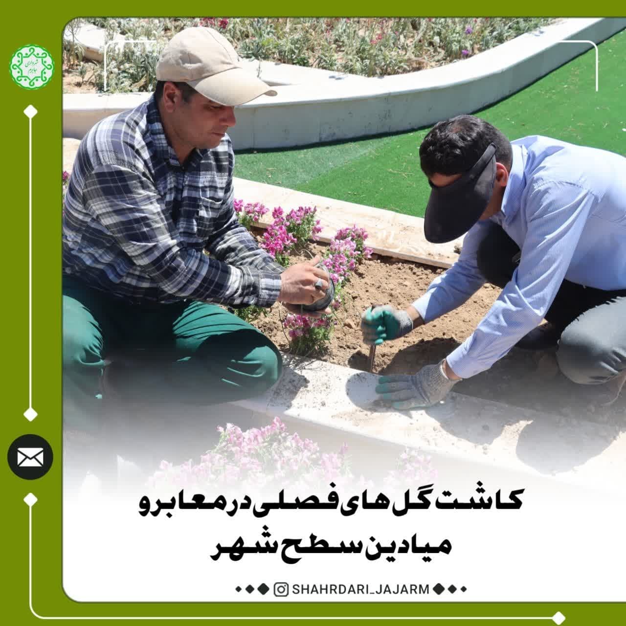 کاشت گل های فصلی در معابر و میادین سطح شهر